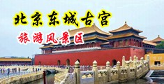 晚上逼逼中国北京-东城古宫旅游风景区